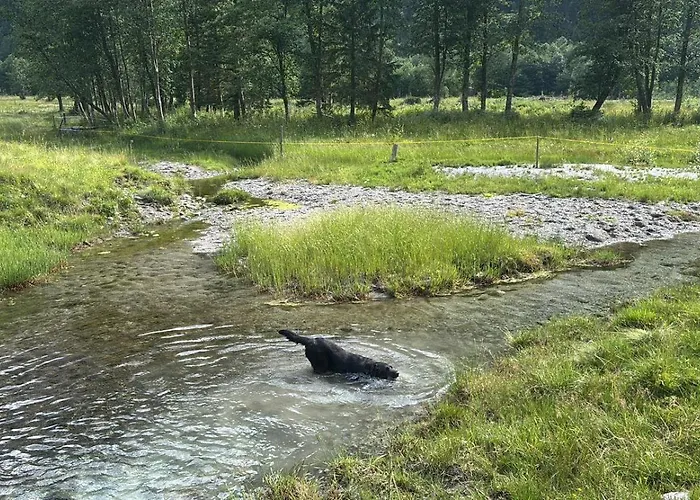 Apartment Sonnenappartement *